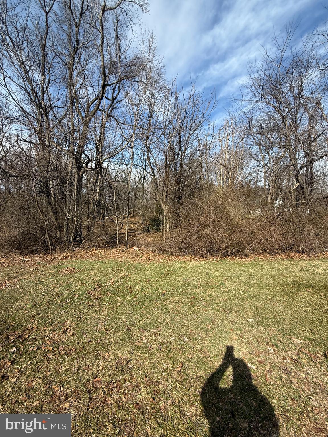 0 Sand Hill Road Hummelstown, PA 17036 - Photo 4 of 15 Serene woodland retreat in early spring.