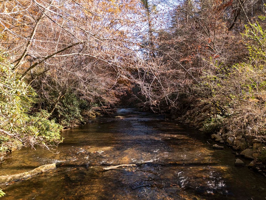 1214 John Abernathy Road Blairsville, GA 30512 - Photo 44 of 53 a view of outdoor space with a yard