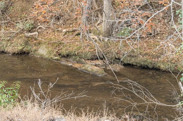 $650,000 | 1214 John Abernathy Road, Blairsville, GA 30512