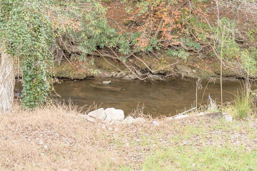 1214 John Abernathy Road Blairsville, GA 30512 - Photo 53 of 53 a view of lake