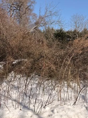 $29,990 | Woodland, Shirley, NY 11967