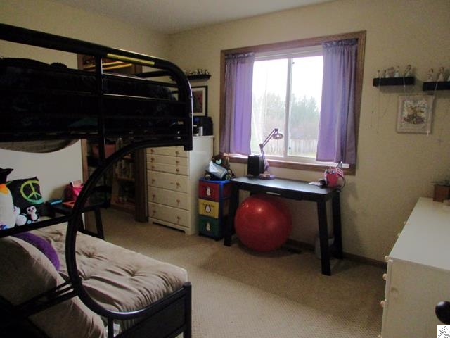 47 East Riverside Road Esko, MN 55733 - Photo 11 of 17 Gallery Image 11
