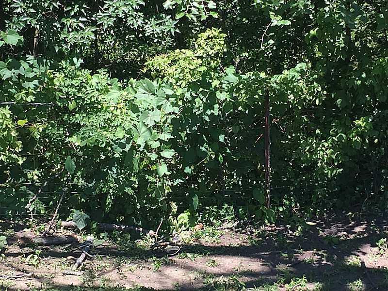 0 Shrine Road Springfield, OH 45504 - Photo 6 of 11