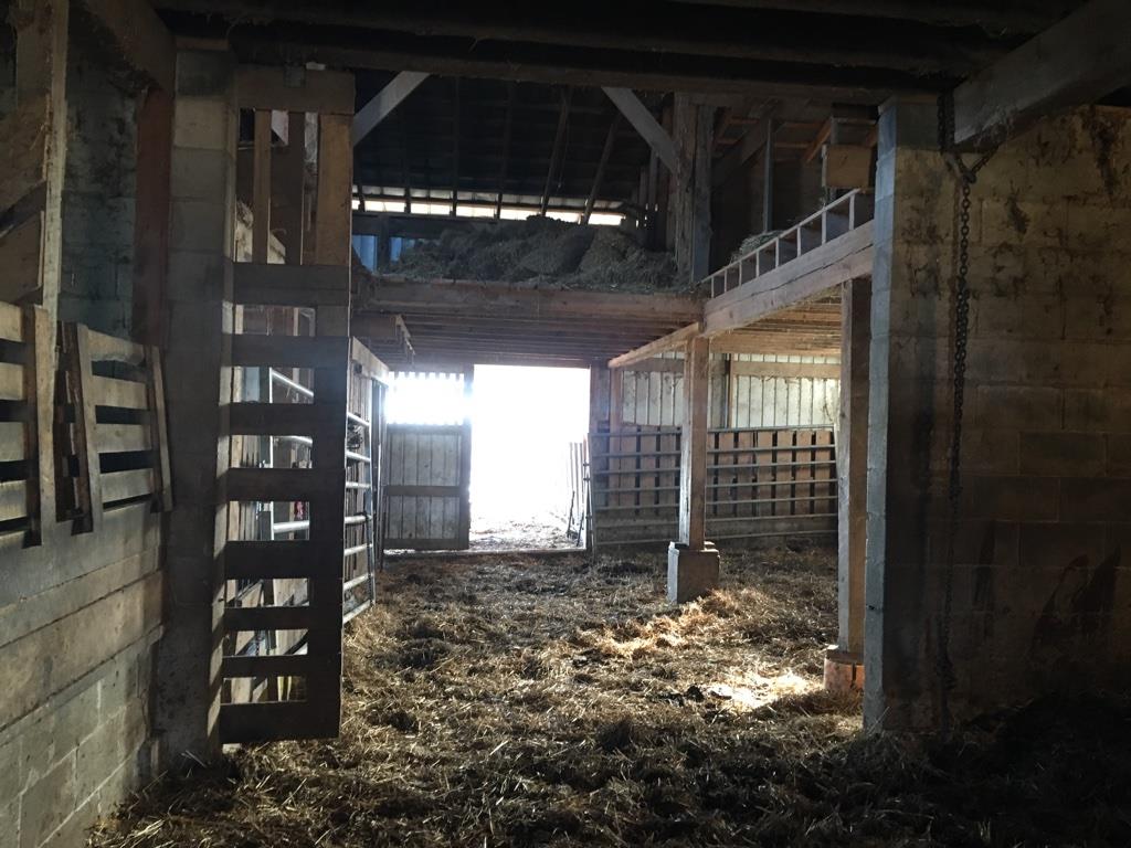 4072 Muckle Branch Road Ethridge, TN 38456 - Photo 12 of 28 big red barn