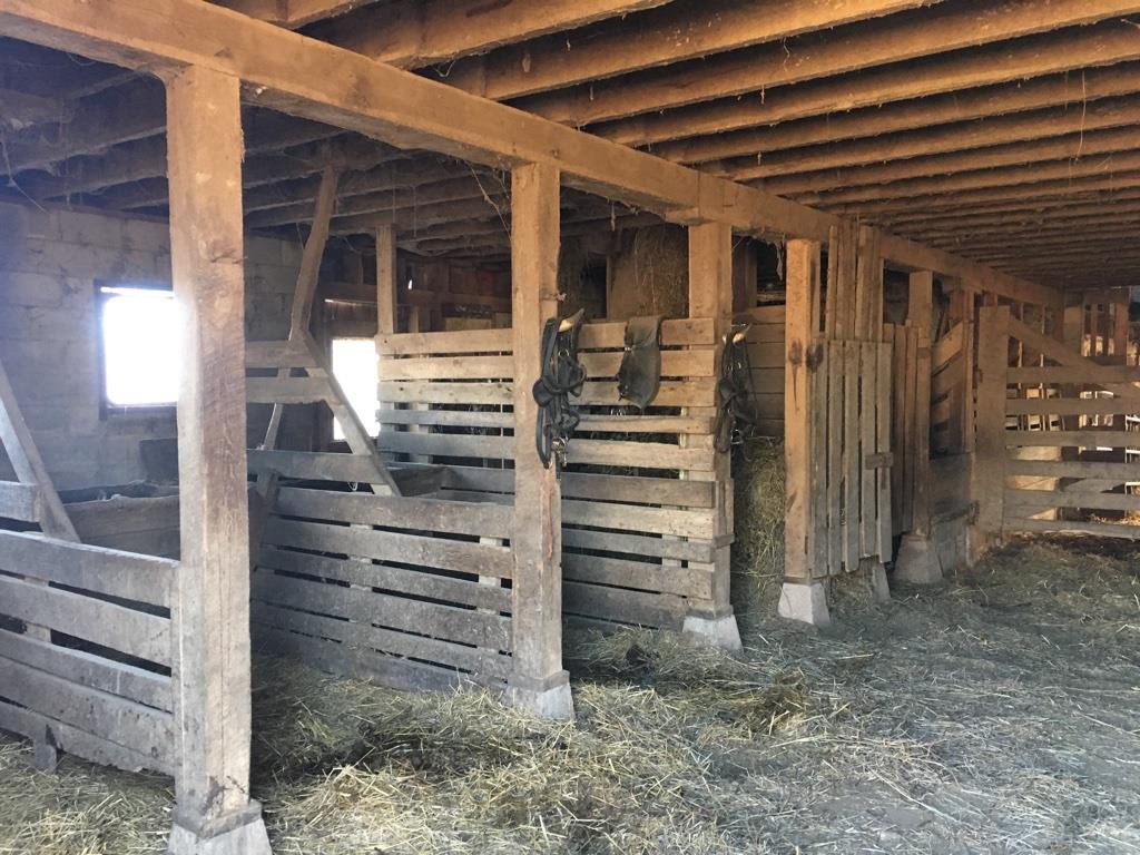 4072 Muckle Branch Road Ethridge, TN 38456 - Photo 13 of 28 big red barn