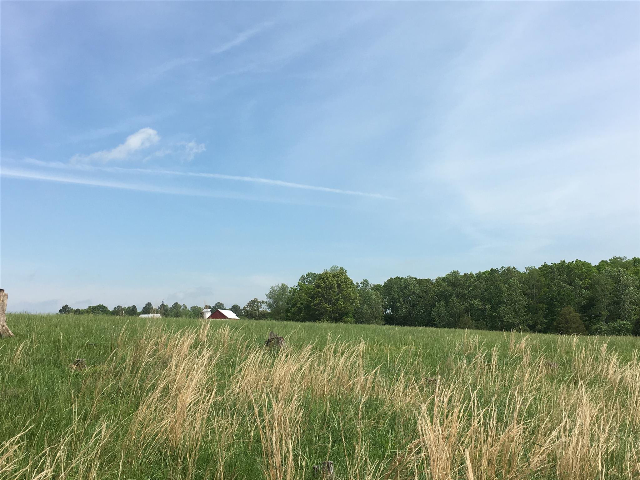 4072 Muckle Branch Road Ethridge, TN 38456 - Photo 18 of 28 Pasture