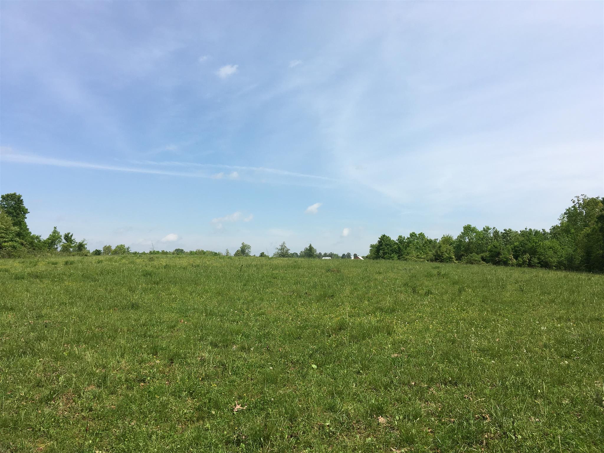 4072 Muckle Branch Road Ethridge, TN 38456 - Photo 19 of 28 Gallery Image 19