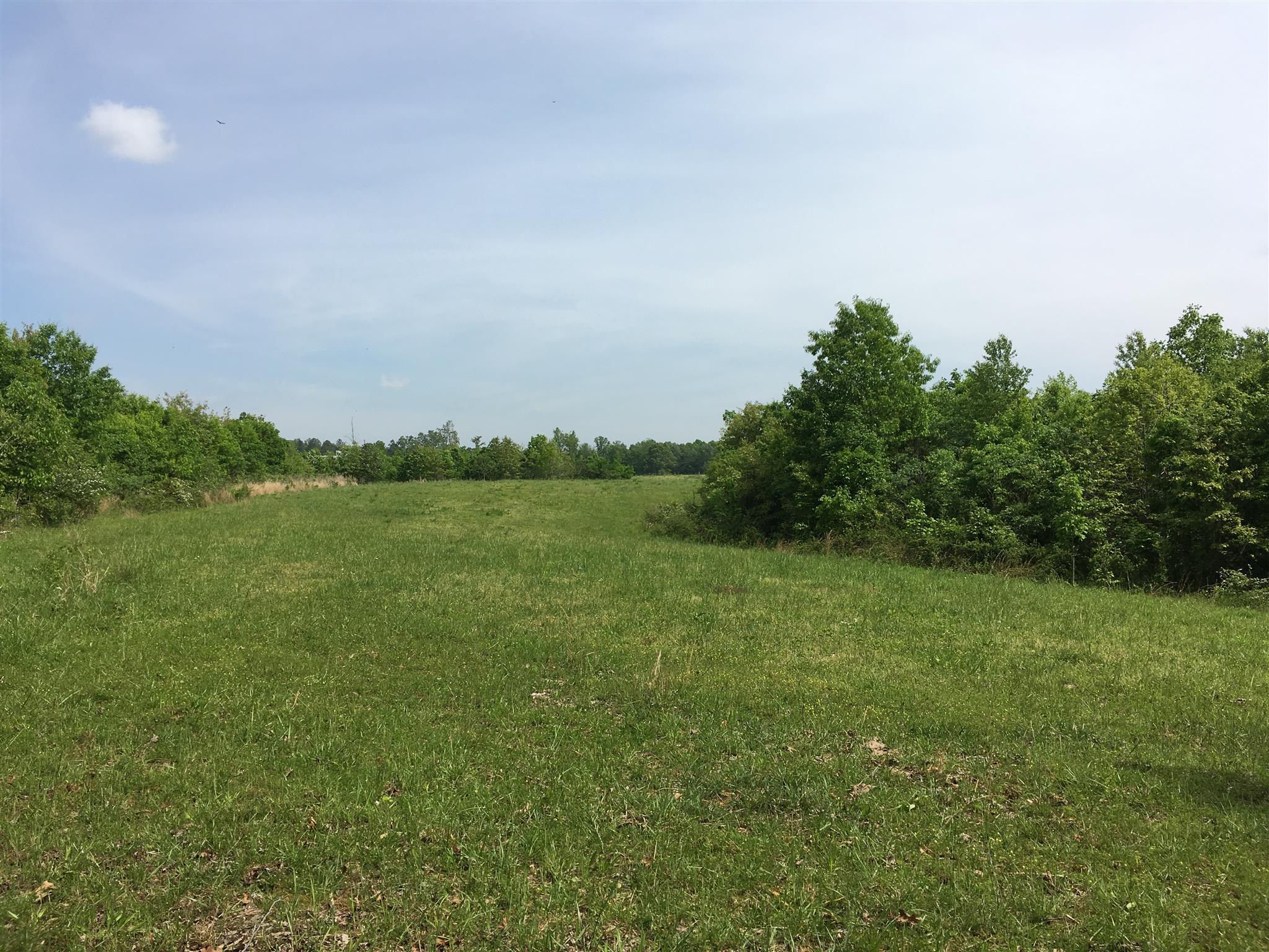 4072 Muckle Branch Road Ethridge, TN 38456 - Photo 20 of 28 Gallery Image 20