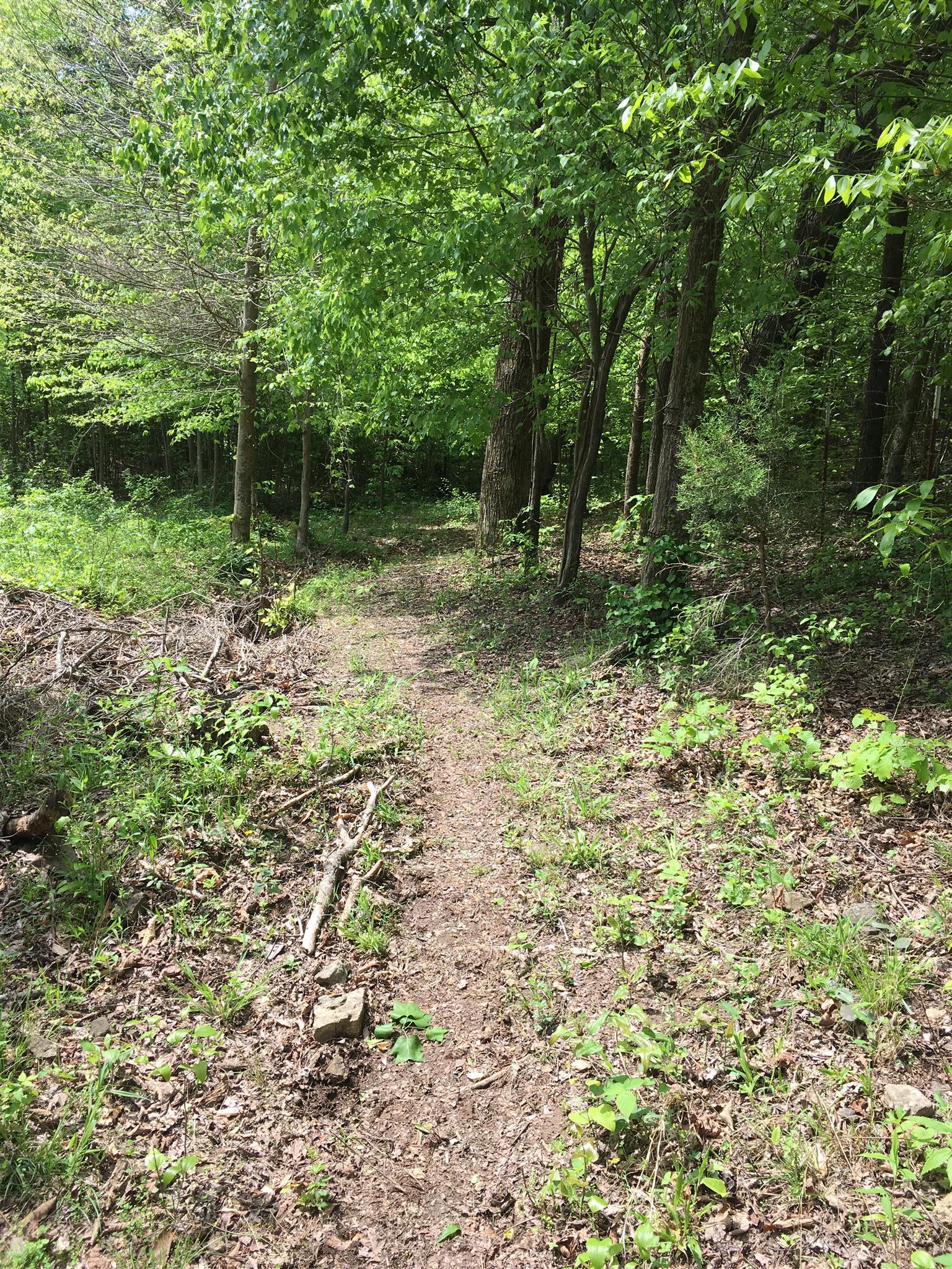 4072 Muckle Branch Road Ethridge, TN 38456 - Photo 24 of 28 Gallery Image 24