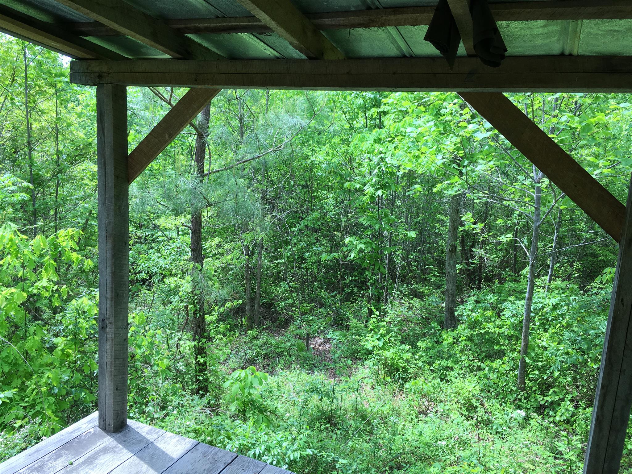 4072 Muckle Branch Road Ethridge, TN 38456 - Photo 25 of 28 Gallery Image 25