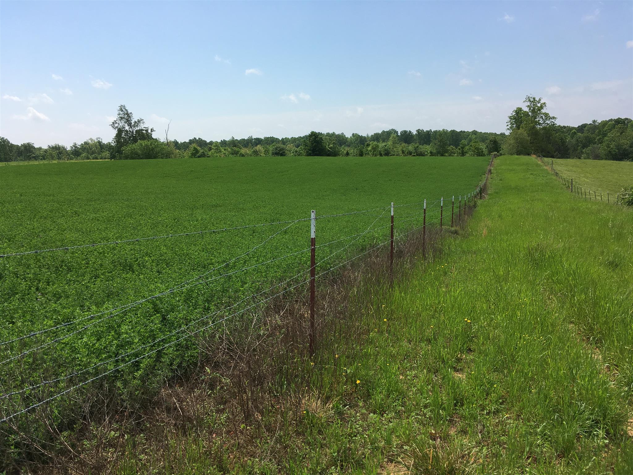 4072 Muckle Branch Road Ethridge, TN 38456 - Photo 28 of 28 Alfalfa field