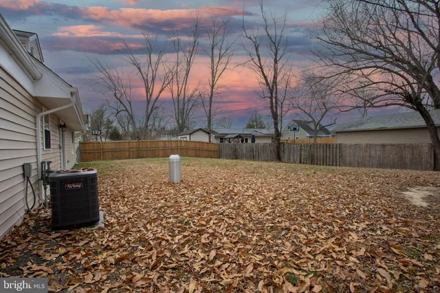 a view of a backyard with large trees