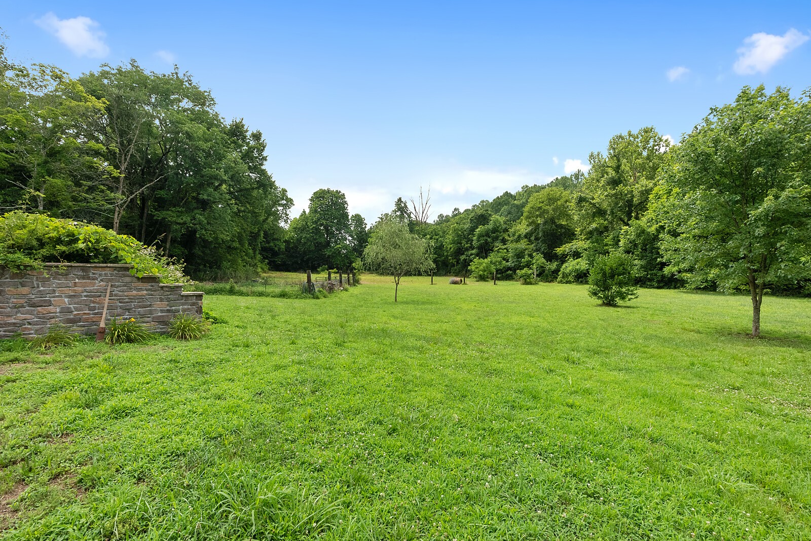 9600 New Gallatin Road Adolphus, KY 42120 - Photo 23 of 31 Gallery Image 23
