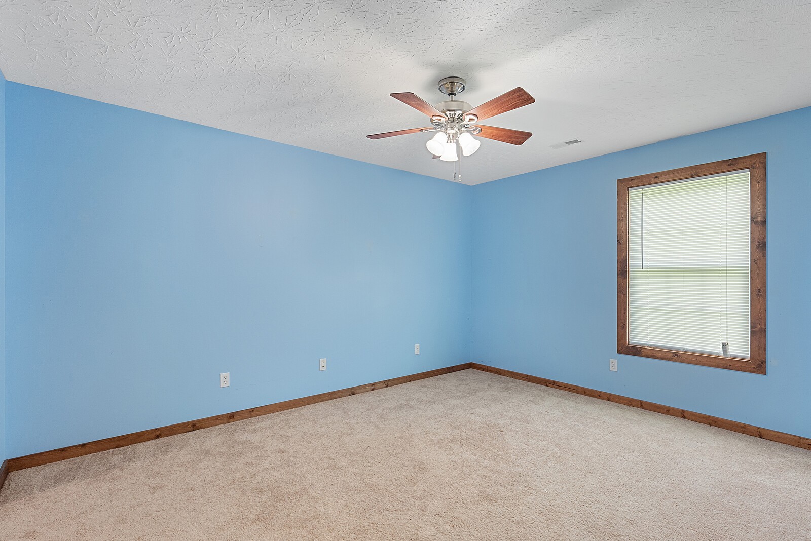 9600 New Gallatin Road Adolphus, KY 42120 - Photo 9 of 31 Gallery Image 9