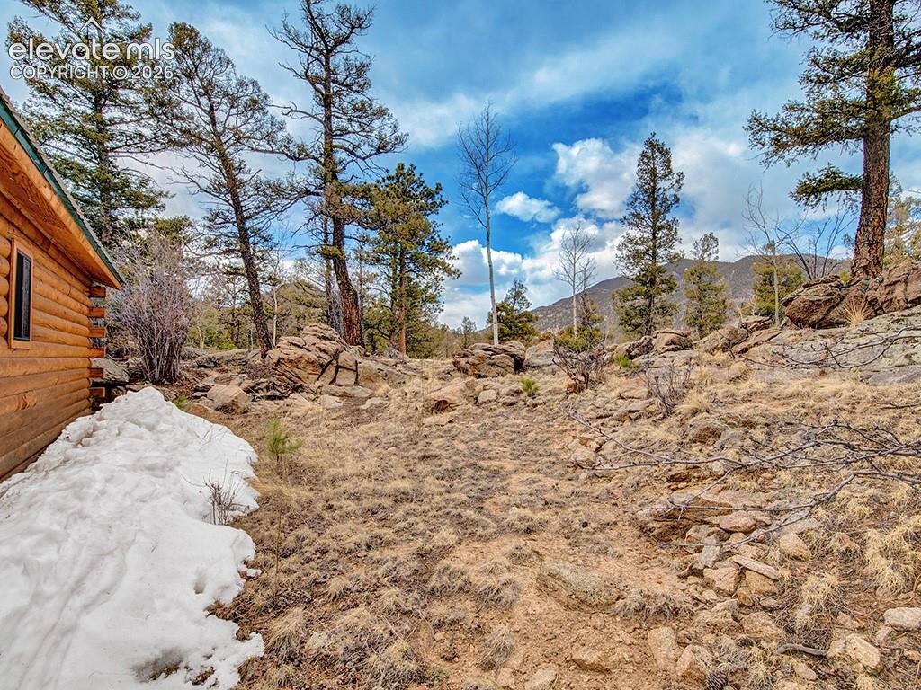 1462 Pulver Road Lake George, CO 80827 - Photo 24 of 25 a view of a yard with a tree