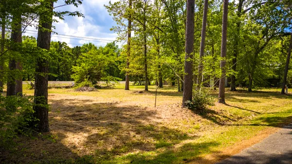 a view of a tree in a yard