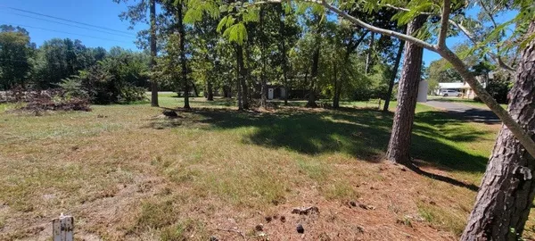 $45,000 | 0 Palmetto Drive, Livingston, TX 77351