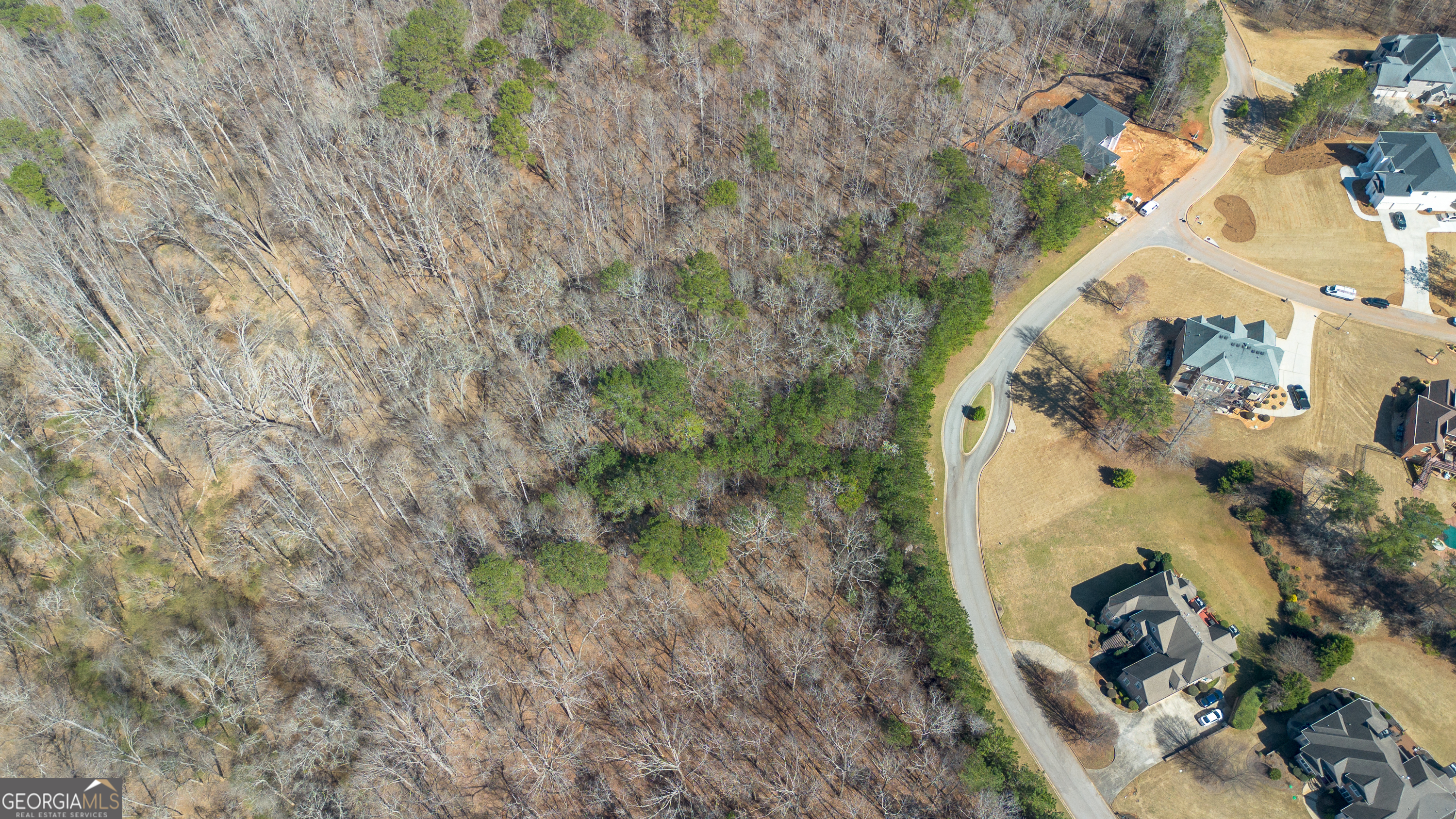 0 Fontainble Swau Road Covington, GA 30016 - Photo 18 of 60 a aerial view of a house with a yard and large trees