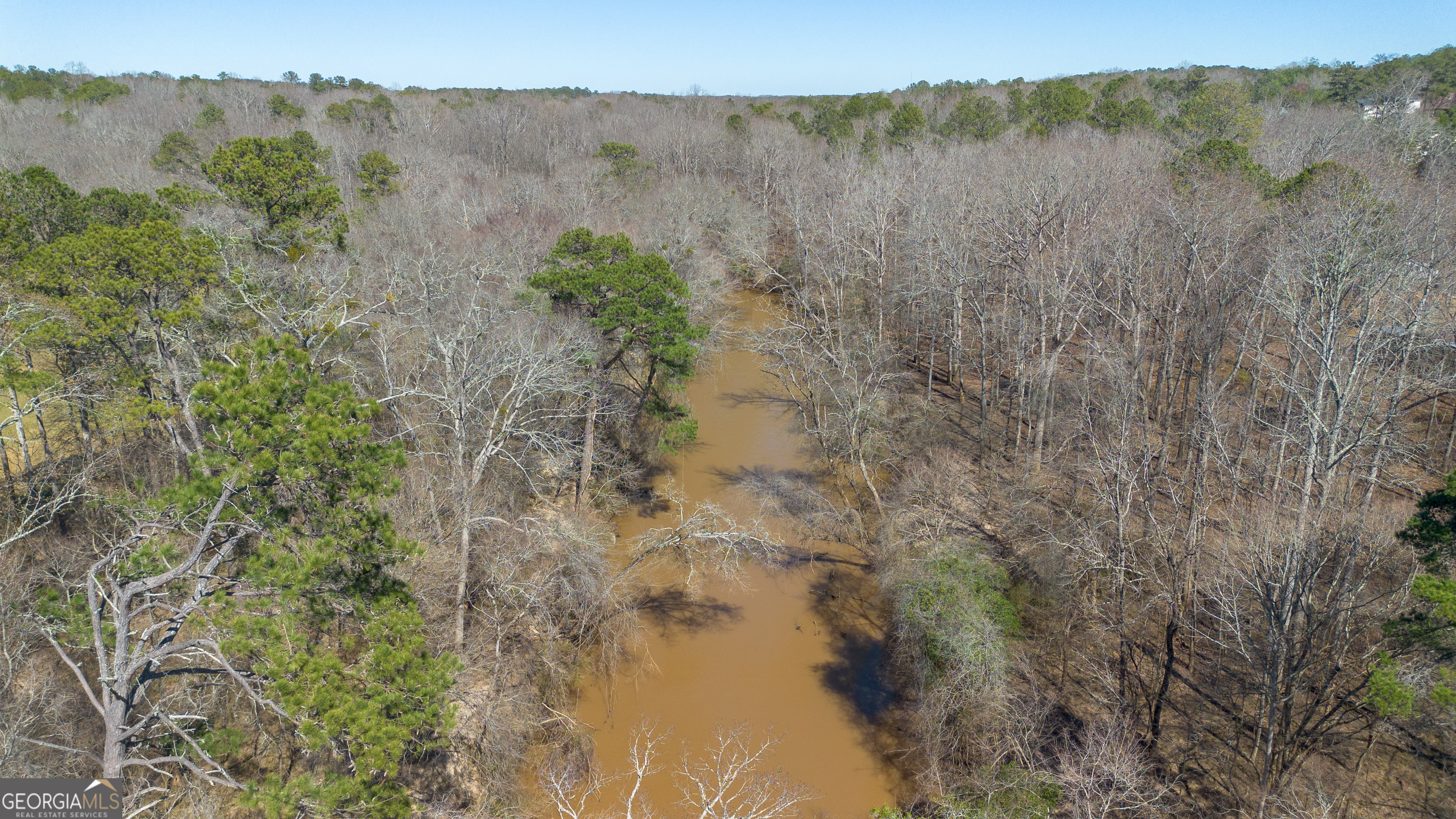 0 Fontainble Swau Road Covington, GA 30016 - Photo 24 of 60 a view of a lake with a mountain in the back