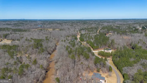 a view of a forest with a lake