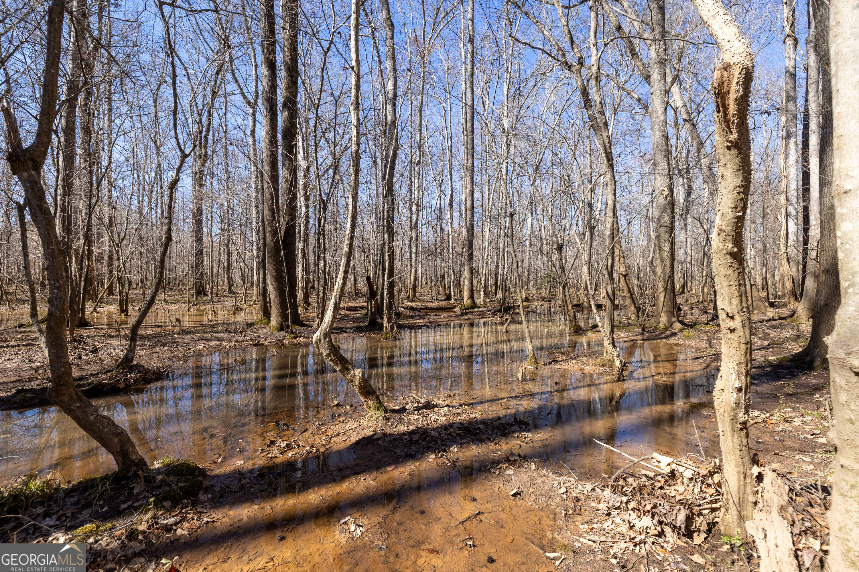 0 Fontainble Swau Road Covington, GA 30016 - Photo 48 of 60 a view of wooden floor