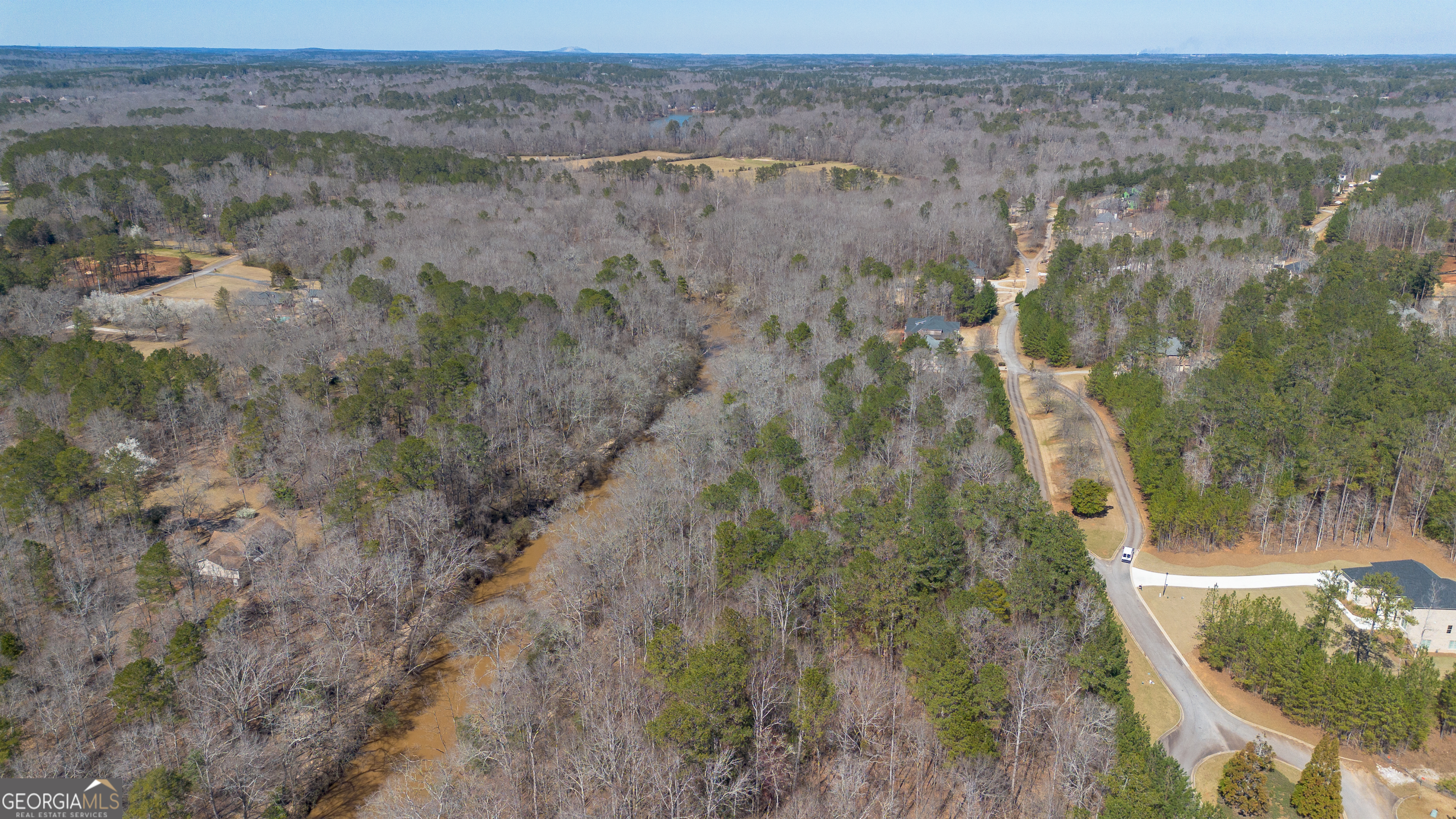 0 Fontainble Swau Road Covington, GA 30016 - Photo 6 of 60 a view of a forest with a lake