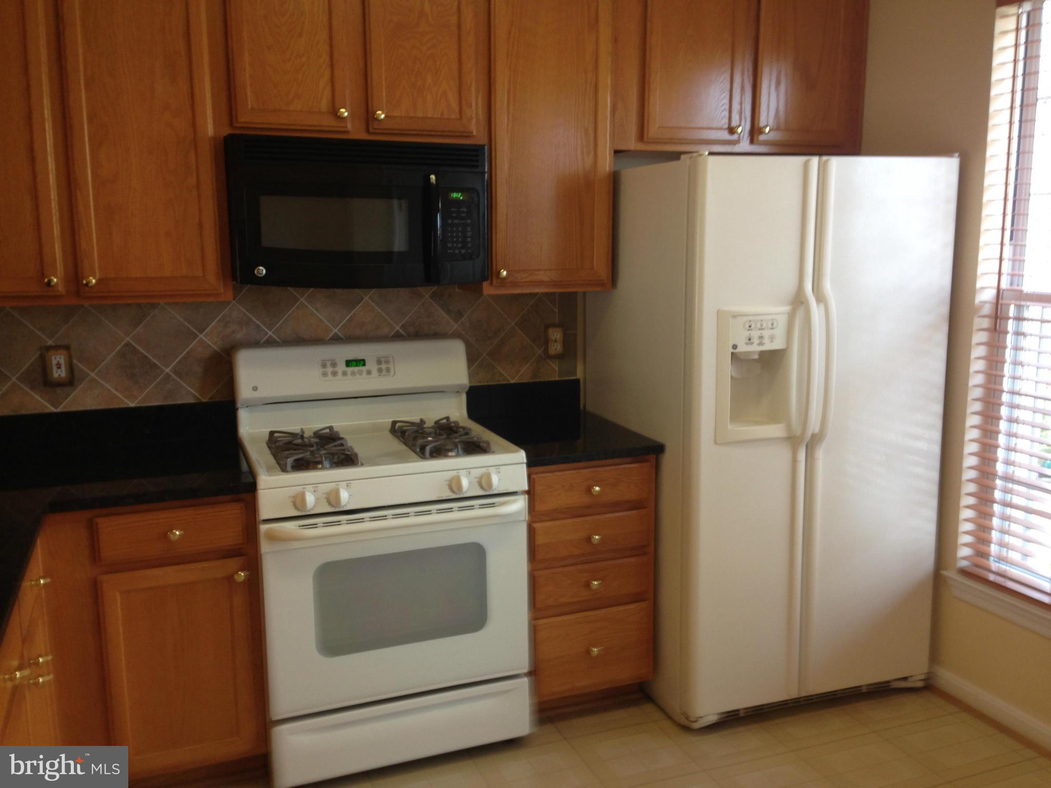 12027 Amber Ridge Circle Germantown, MD 20876 - Photo 3 of 26 Kitchen