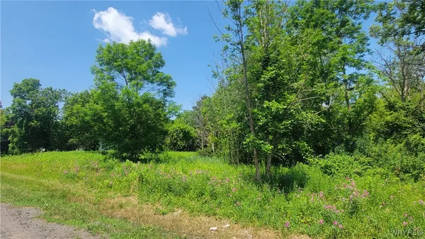 $55,000 | Prole Road Extension, Stafford, NY 14143