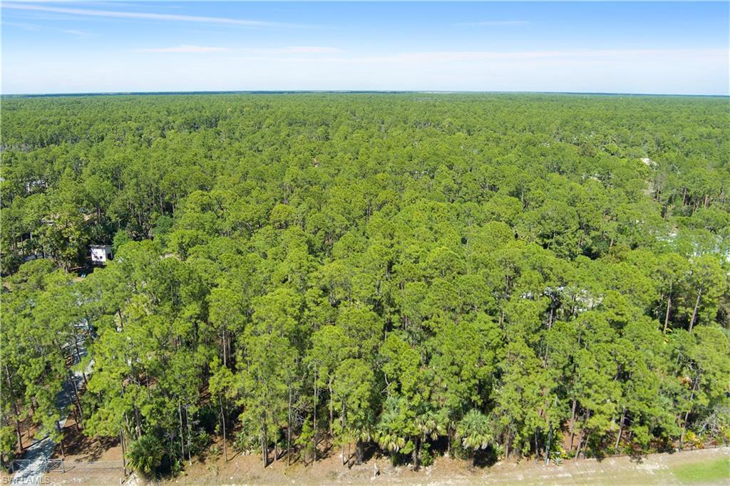 4469 Pine Ridge Road Naples, FL 34119 - Photo 2 of 5 a view of a field with plants