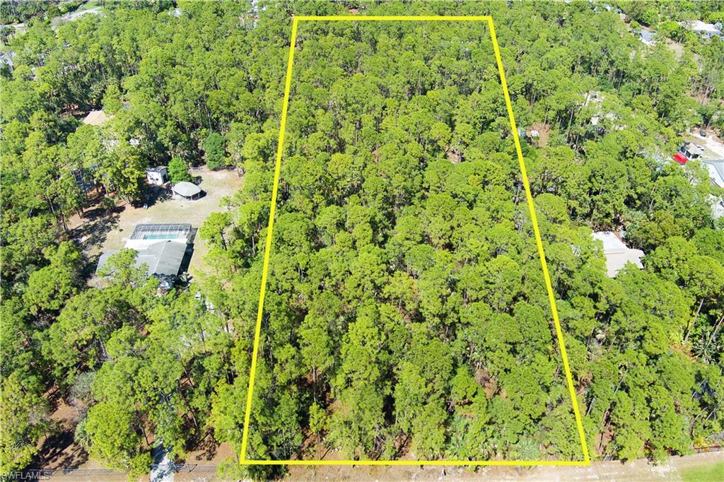 4469 Pine Ridge Road Naples, FL 34119 - Photo 4 of 5 a view of a yard with plants