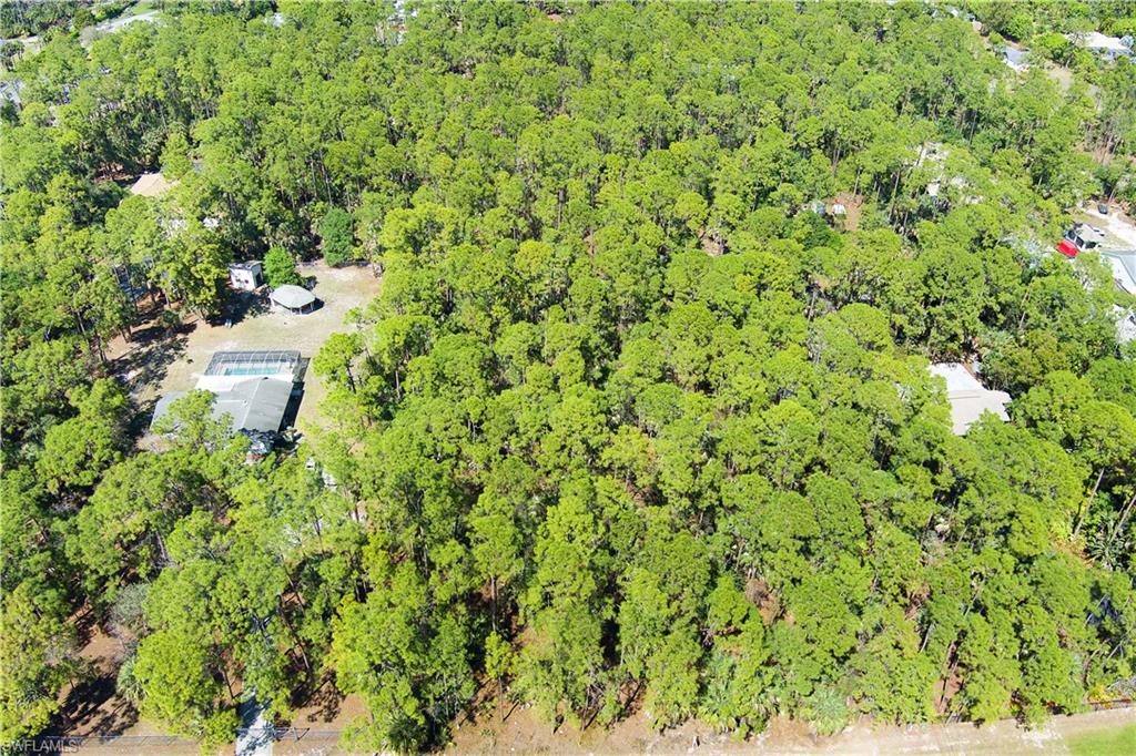 4469 Pine Ridge Road Naples, FL 34119 - Photo 5 of 5 a view of a big yard with plants and large trees