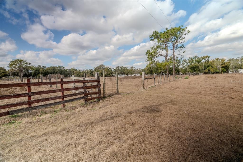 36630 Sunshine Road Zephyrhills, FL 33541 - Photo 6 of 20 a view of a yard with wooden fence