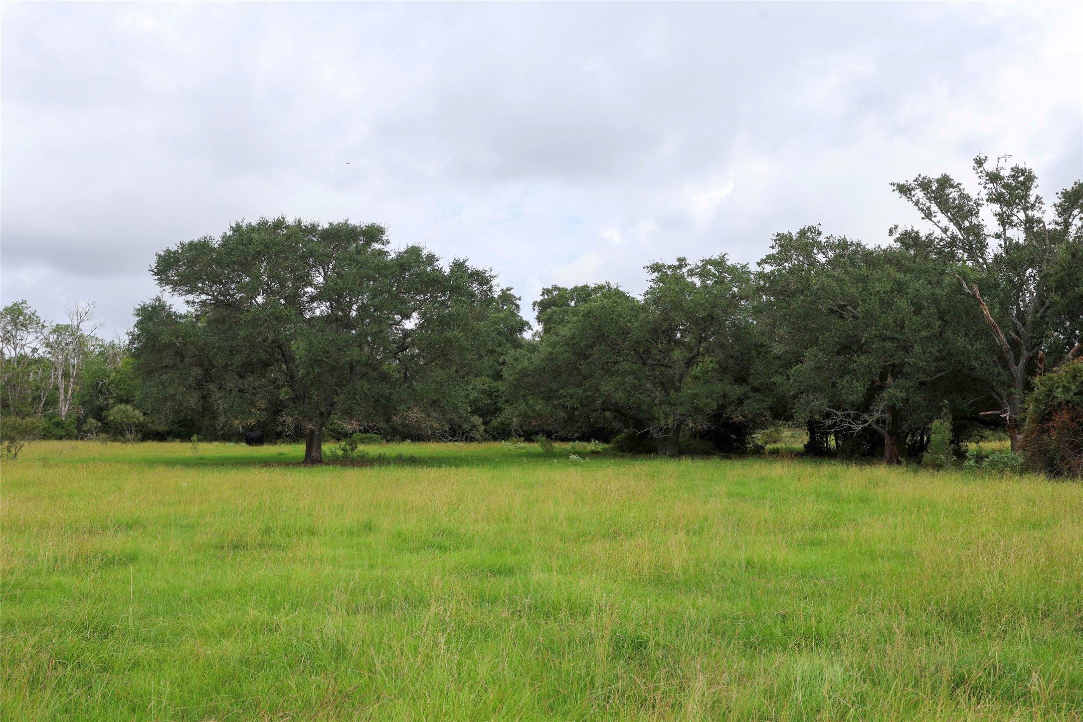 1340 Cr 253 Road Weimar, TX 78962 - Photo 1 of 18