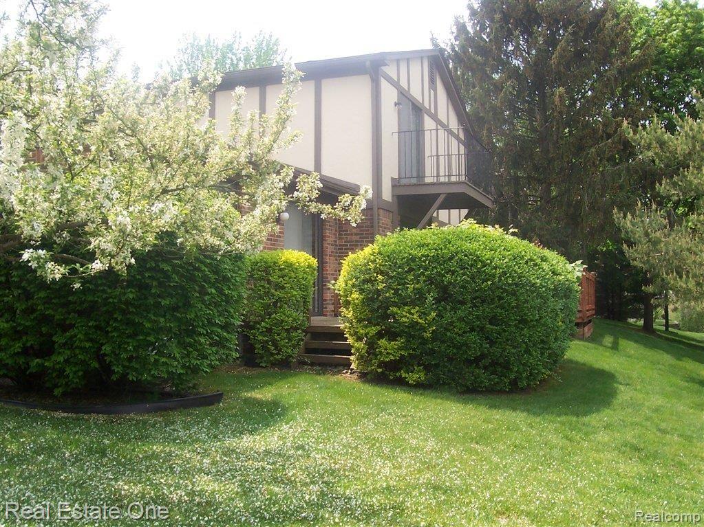 Landscaping around Deck