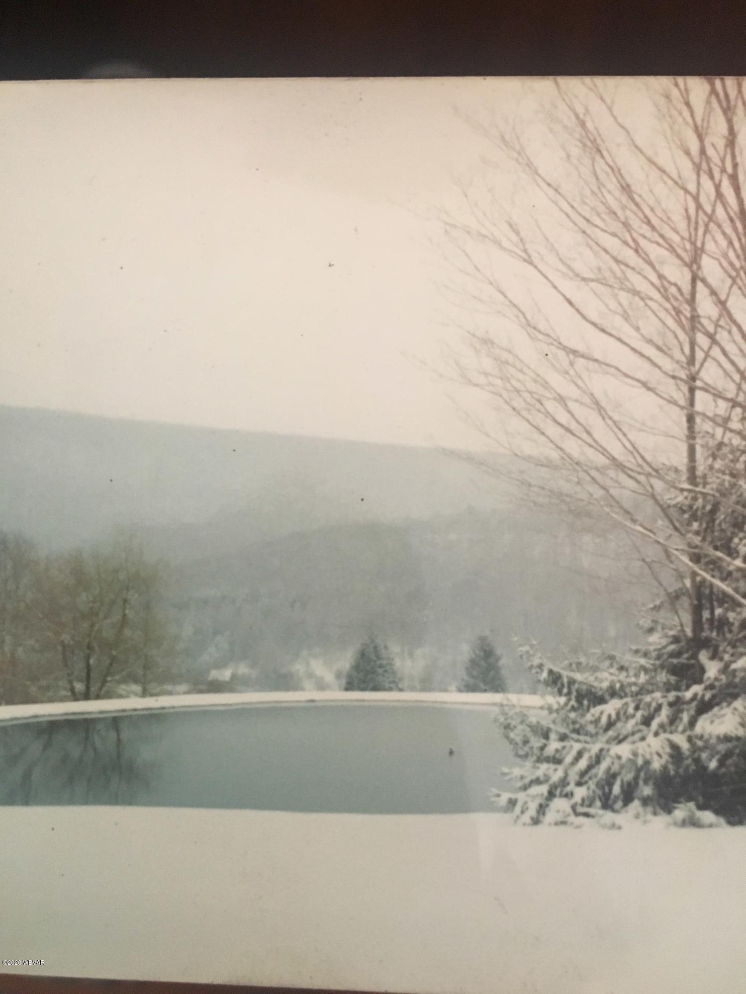 119 Holly Hill Road Dushore, PA 18614 - Photo 3 of 48 Gallery Image 3