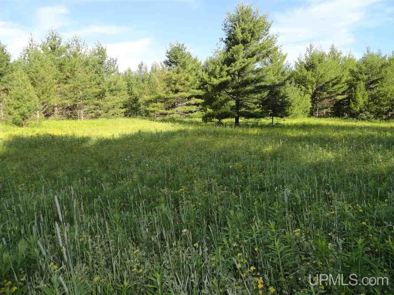 3 3 Mile Road Bruce Crossing, MI 49912 - Photo 1 of 12