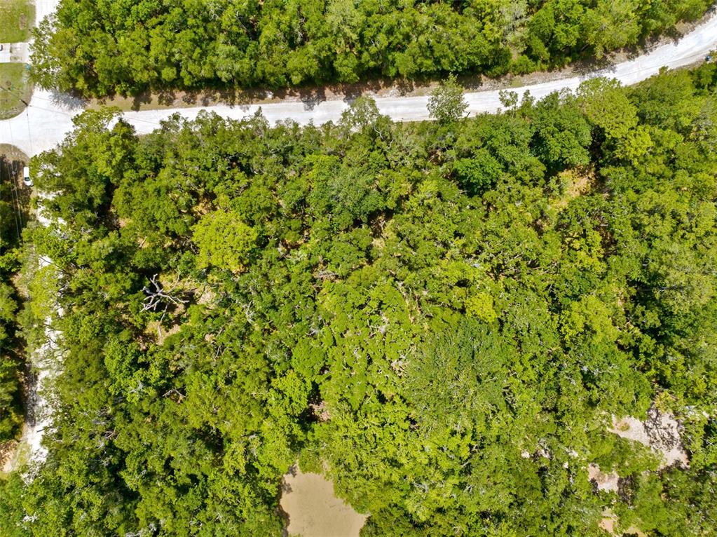 0 Ricebird Avenue, Unit LOT 89 Weeki Wachee, FL 34614 - Photo 5 of 27