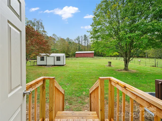 a view of a forest with lots of trees