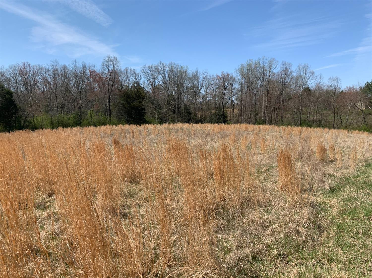 145 Powder Mill Road London, KY 40741 - Photo 42 of 55 Photo 41