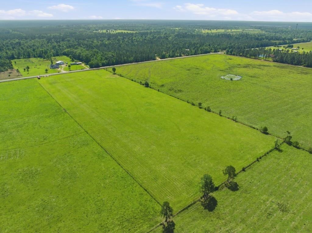 13018 Highway 113 Reeves, LA 70658 - Photo 4 of 7