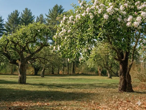 $895,000 | 109 Sahagian Road, Belgrade, ME 04917