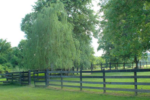 2121 Neelys Bend Road Madison, TN 37115 - Photo 19 of 20 PASTURE AND WONDERFUL GARDEN SPOT. ALL 5 ACRES ARE FENCED AND CROSS FENCED.