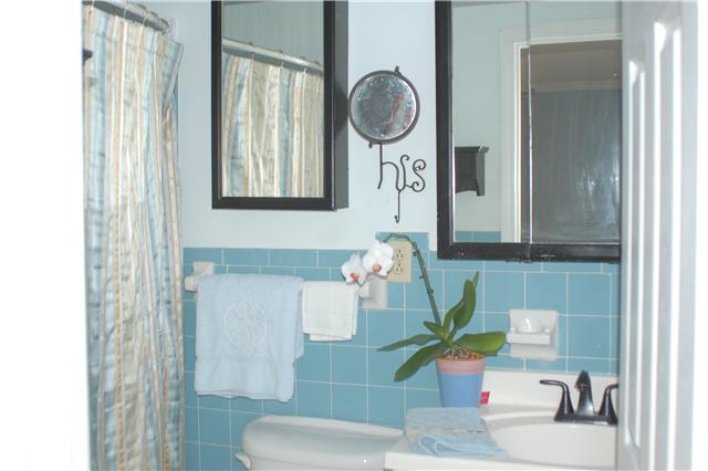 2121 Neelys Bend Road Madison, TN 37115 - Photo 6 of 20 MASTER BATHROOM WITH TUB/SHOWER COMBO, UPDATED