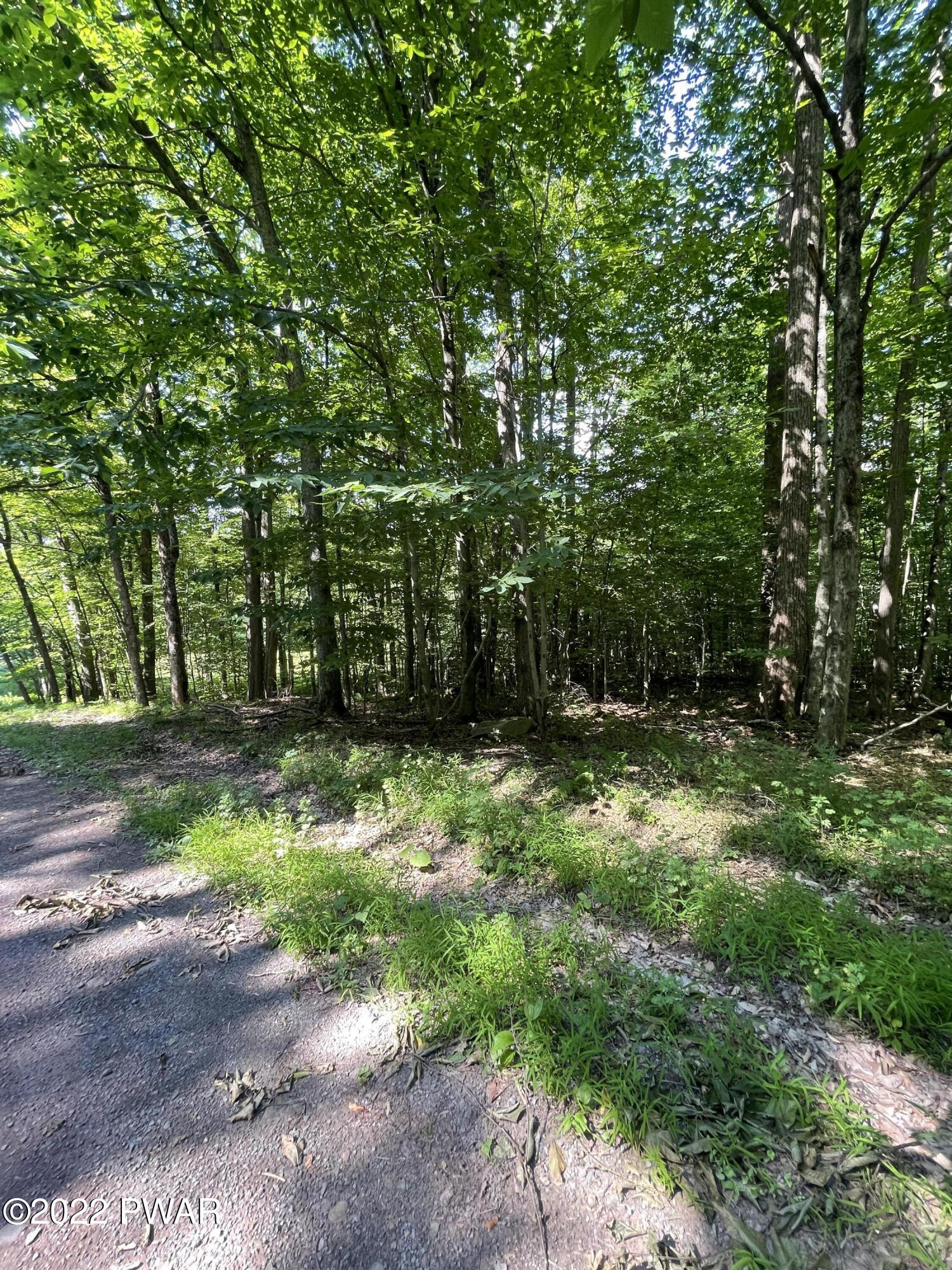 203 Beech Road Equinunk, PA 18417 - Photo 12 of 16