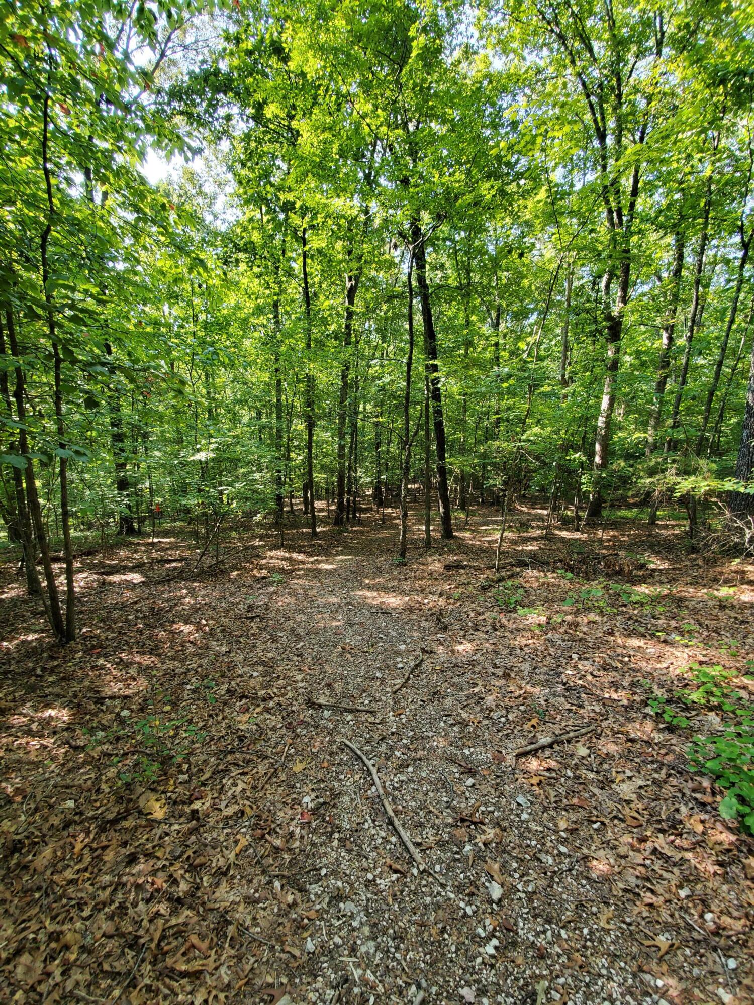 Rest Camp Road Lenoir City, TN 37772 - Photo 2 of 8 20210910_103118