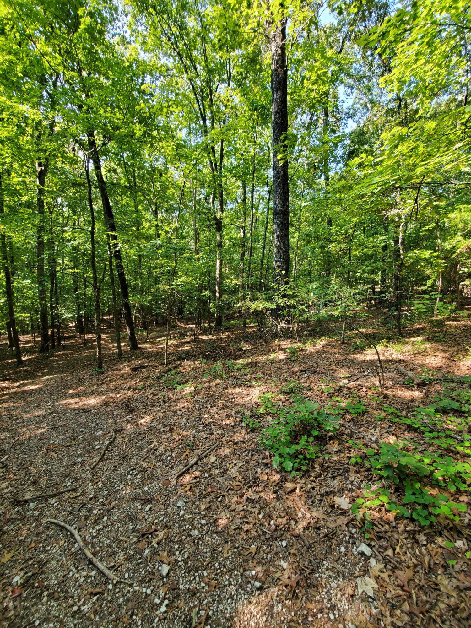 Rest Camp Road Lenoir City, TN 37772 - Photo 3 of 8 20210910_103121