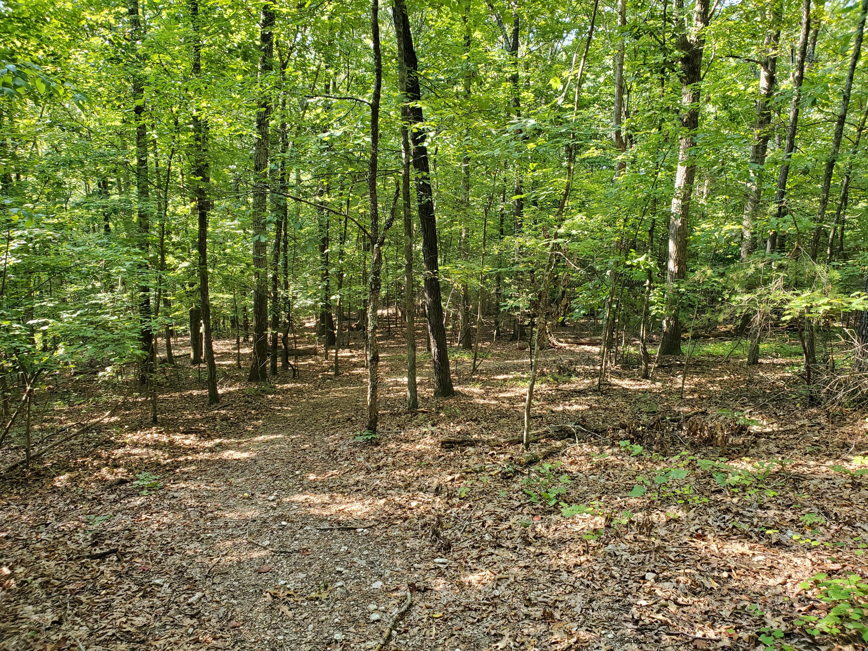 Rest Camp Road Lenoir City, TN 37772 - Photo 4 of 8 20210910_103135