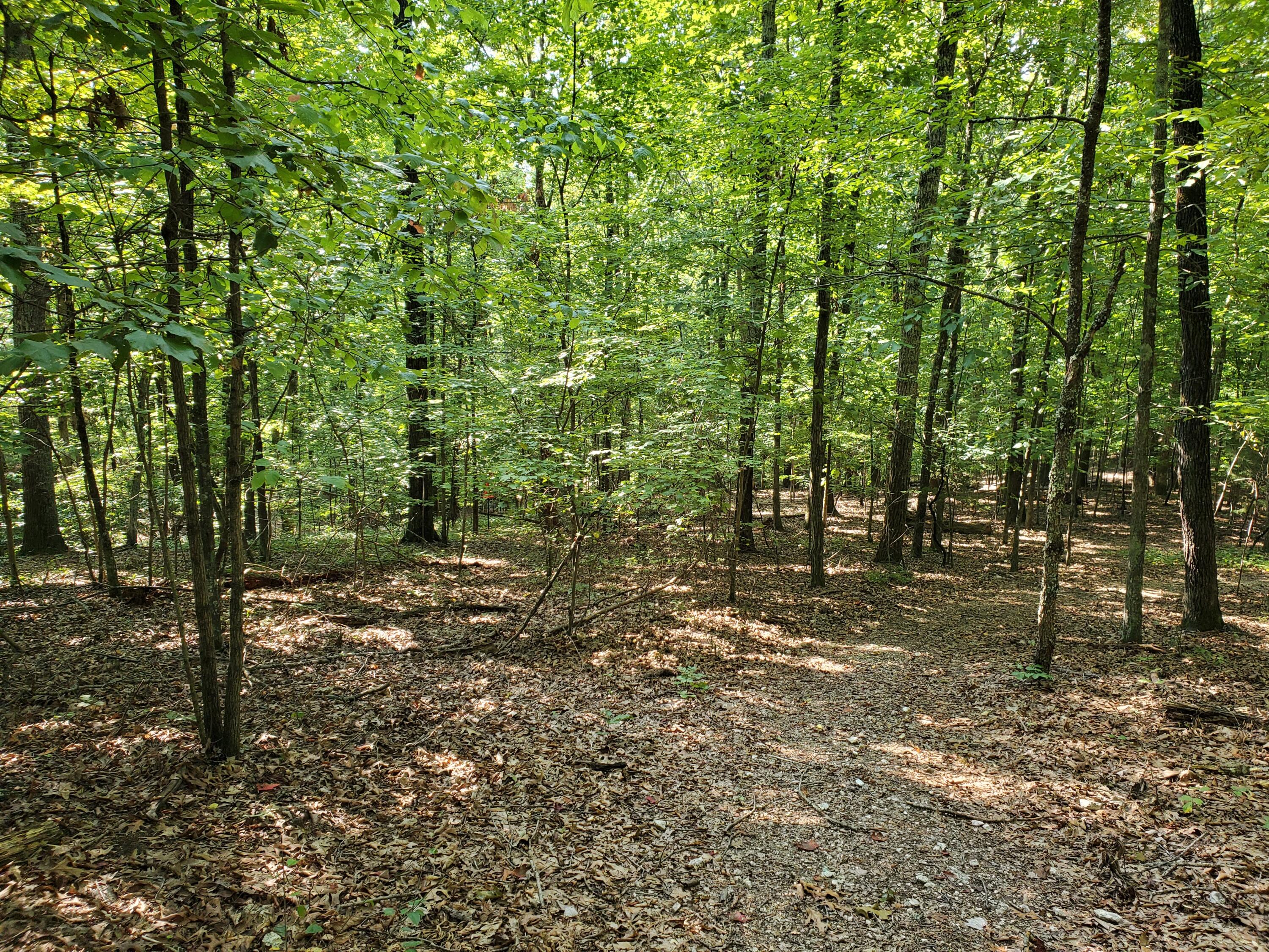 Rest Camp Road Lenoir City, TN 37772 - Photo 5 of 8 20210910_103140