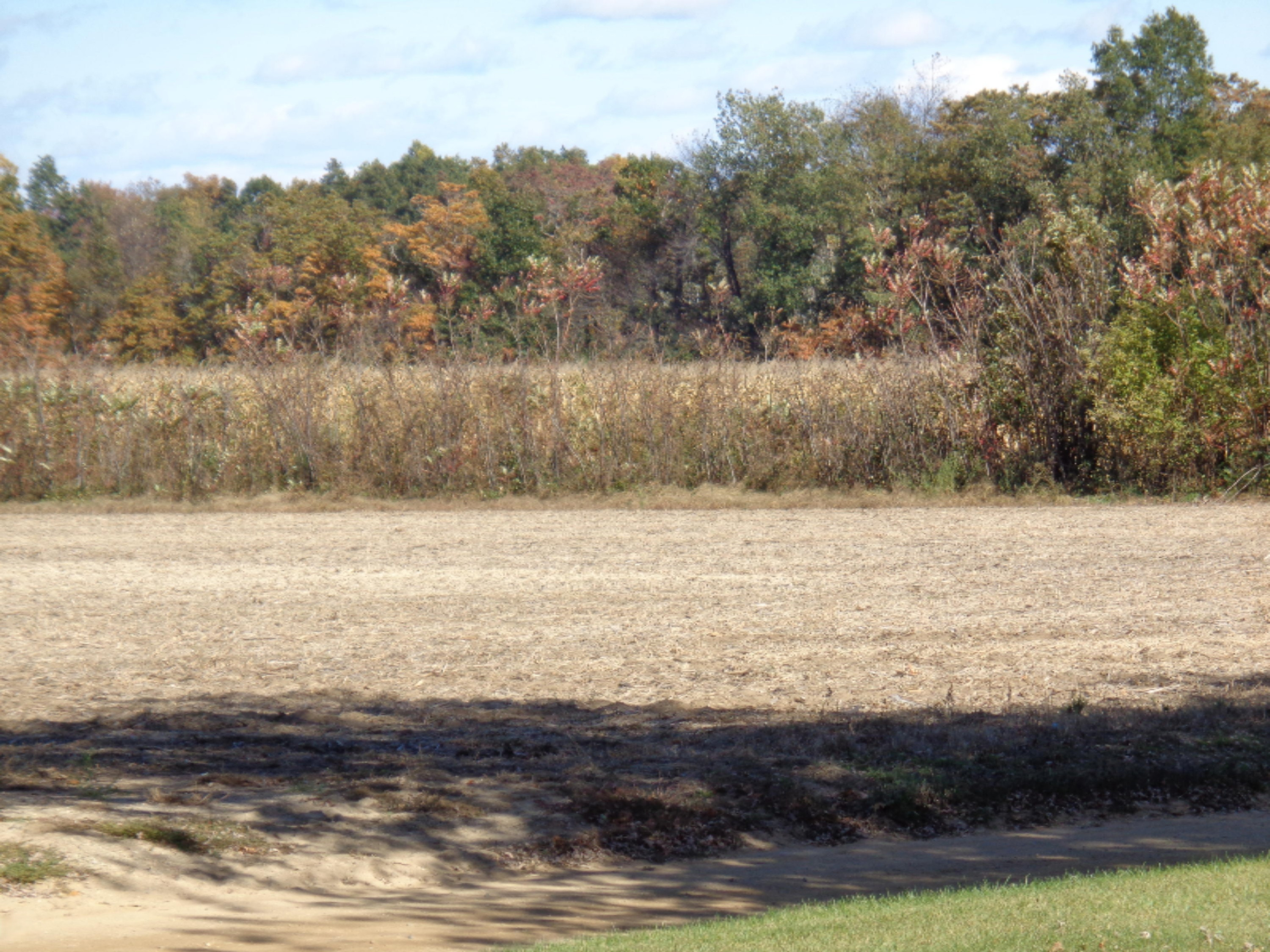 7342 Sells Road Eau Claire, MI 49111 - Photo 11 of 23 DSC00367