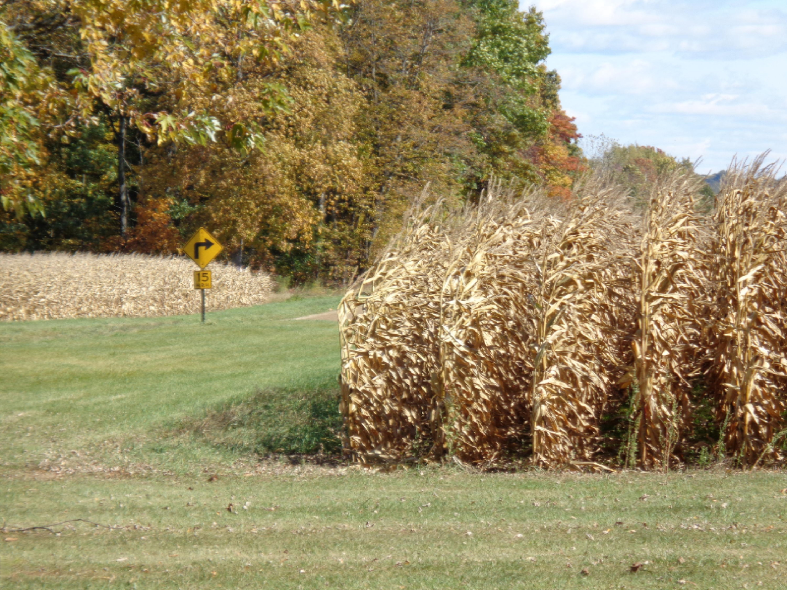 7342 Sells Road Eau Claire, MI 49111 - Photo 15 of 23 DSC00368